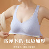 麦穗蕾丝乳胶抑菌无痕无钢圈内衣女背心式文胸美背聚拢上托收副乳H221272458【现货库存 售完即止】贴身衣物不退换 商品缩略图2