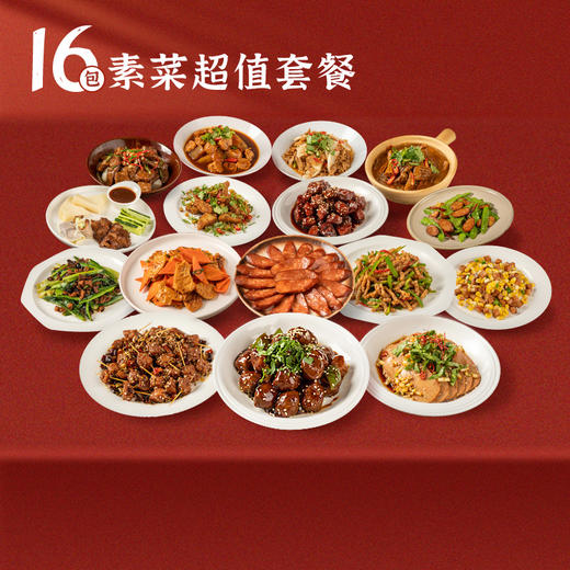 素食庄园 【齐善素食 16包】整箱佛家纯素肉蛋白素肠豆制品人造肉食材斋菜 商品图0