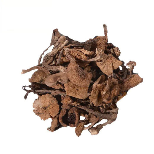 【东北特产 榛蘑】东北特产 榛蘑 商品图2