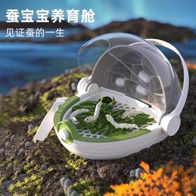 科学罐头蚕宝宝养殖太空舱昆虫观察盒