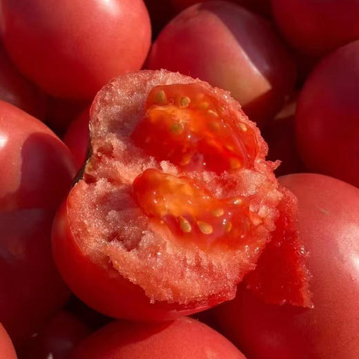 特惠福利『攀枝花露天沙瓤番茄』自有番茄园，沙瓤细腻，果肉肥厚 商品图2