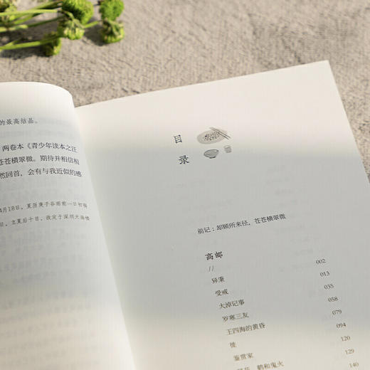 钓人的孩子汪曾祺小说（青少年读本 商品图2