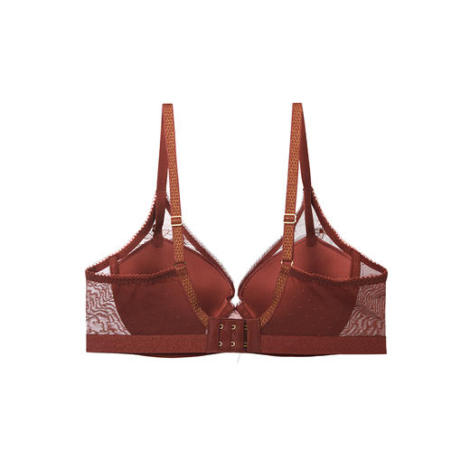 芬狄诗性感蕾丝有钢圈舒适集中上托侧收副乳文胸FB00364 商品图3