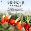 福东海  宁夏红枸杞礼盒苟杞子中宁免洗红枸杞子枸杞茶滋补品360g 商品缩略图2