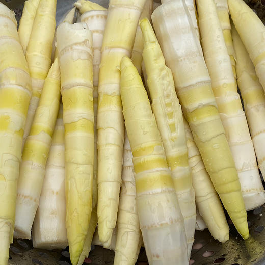 临安春笋 商品图3