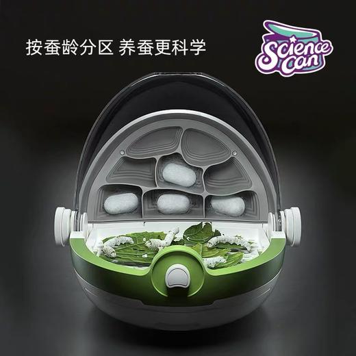科学罐头蚕宝宝养殖太空舱昆虫观察盒 商品图2