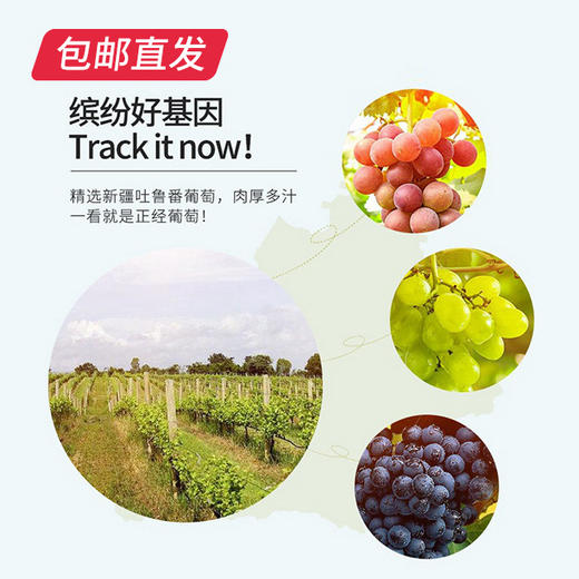 【杞里香】缤纷葡萄干 新疆吐鲁番特产300g/罐（包邮直发） 商品图4