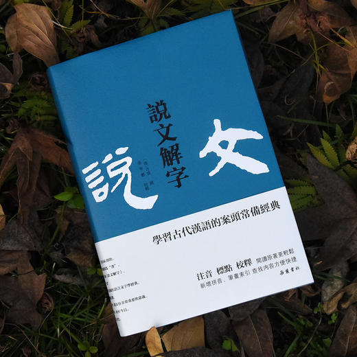 说文解字 学习古代汉语的案头常备经典 商品图3
