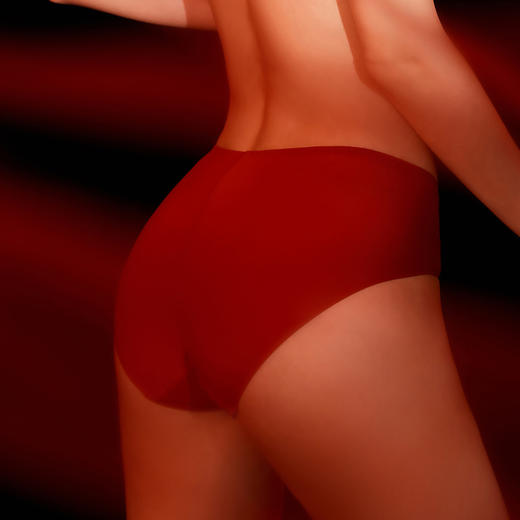 安莉芳蕾丝刺绣内裤女士无痕低腰三角裤E200432 商品图1