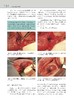 小动物后腹部手术（世界兽医经典著作译丛•小动物外科系列） 商品缩略图7