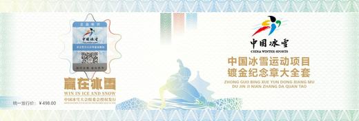 中国冰雪运动项目镀金纪念章大全套（共15枚） 商品图9