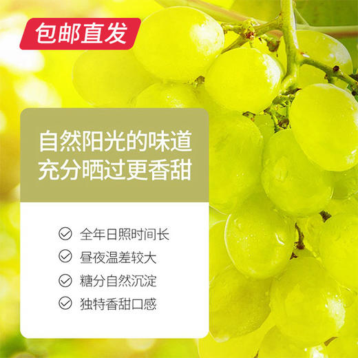 【杞里香】缤纷葡萄干 新疆吐鲁番特产300g/罐（包邮直发） 商品图3