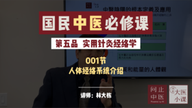 试听课第五节：实用针灸学之人体经脉系统