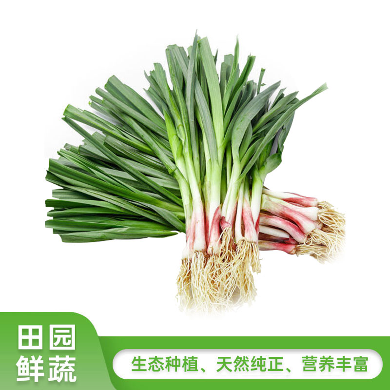 带根本大蒜350g