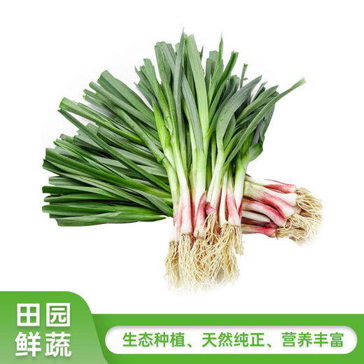 带根本大蒜350g 商品图0