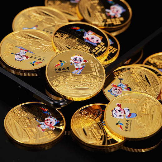 中国冰雪运动项目镀金纪念章套装（共7枚） 商品图11