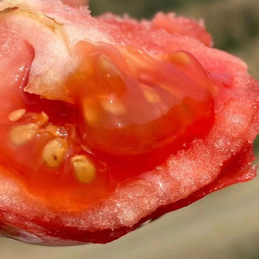 特惠福利『攀枝花露天沙瓤番茄』自有番茄园，沙瓤细腻，果肉肥厚 商品图4