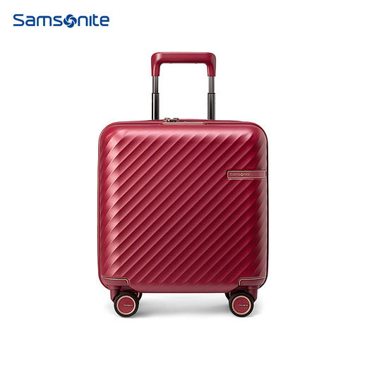 新秀丽宽拉杆箱TRUNK箱型PC材质机长箱 HJ1*003/004 商品图2