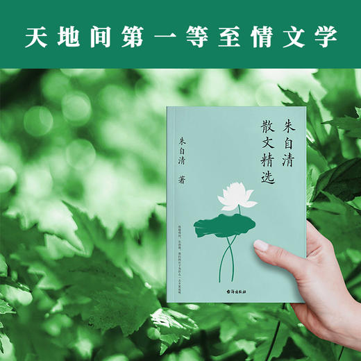 朱自清散文精选集 商品图3