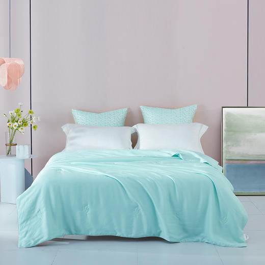 梦洁天丝艾草抗菌素彩夏被 商品图1