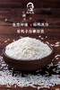 农友直发｜姚社长生态大米，下单后一周内发货，从江西发出，普通快递，请耐心等待！ 商品缩略图0