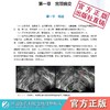 实用妇科盆底与超声 中国医药科技出版社 商品缩略图1