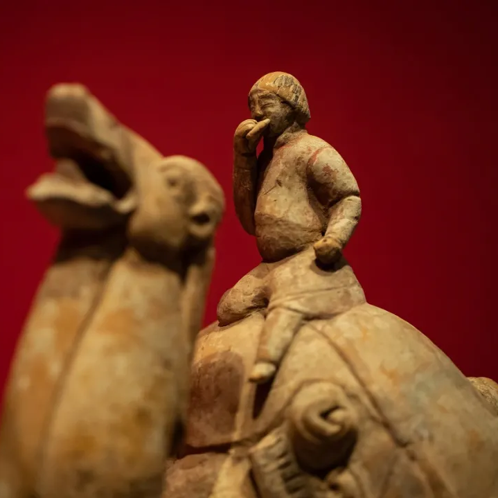 【3月6日定制课程】“国家宝藏” 齐聚故宫 ，29家博物馆镇馆之宝一次看饱！