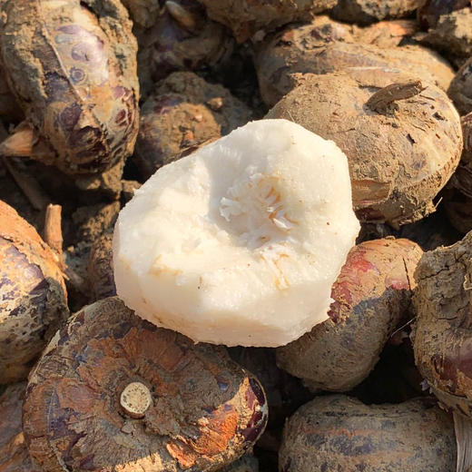 『广西荔浦旱地马蹄』脆甜多汁 爽口化渣 商品图5