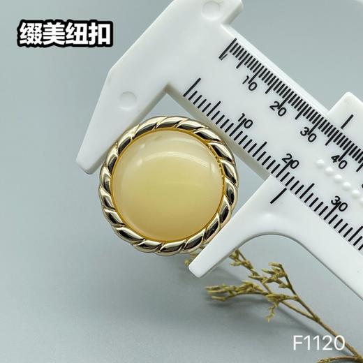 F1120 商品图6
