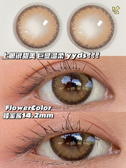 高性价比丨蜂蜜酱·FlowerColor丨14.2mm（年抛/2片装) 商品图10