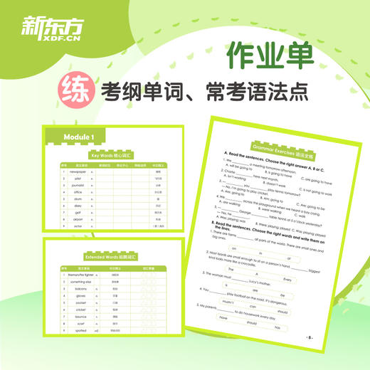 剑桥少儿英语3级冲刺指南 小学儿童YLE考试通关 本系列图书为新东方YLE课堂指定用书，“学-练-测”闭环式学习法，考前轻松冲刺，YLE考试勇夺满盾！ 商品图3