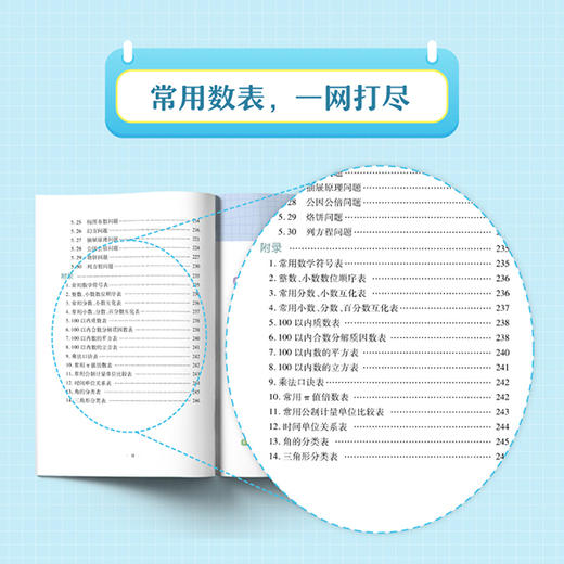 掌分宝系列-小学数学公式定律速查速记 商品图3