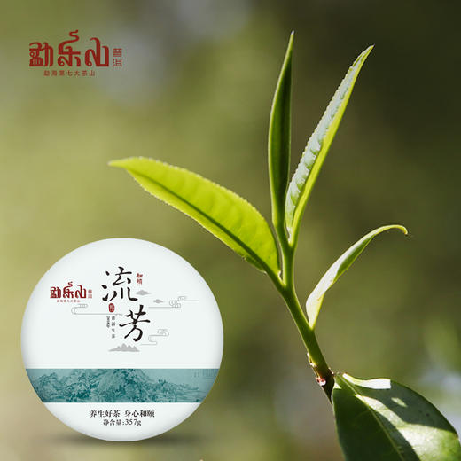 2018年和颐（流芳）双层铁饼生茶礼盒装 商品图3