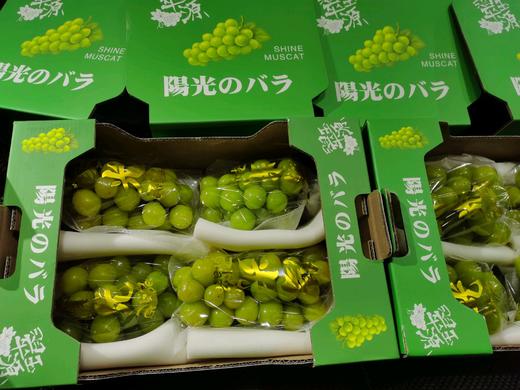 阳光玫瑰礼盒一件 商品图0