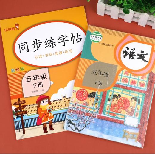 同步练字帖 彩绘版 五年级下册 商品图4