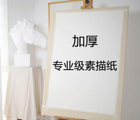 奈尔素描纸160g4K白色50张/袋