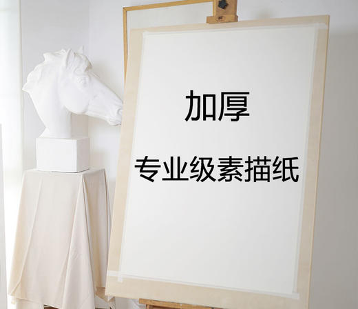 奈尔素描纸160g4K白色50张/袋 商品图0