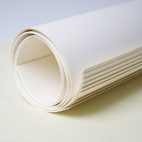 奈尔水粉纸160G/8K本色/50张QB21027