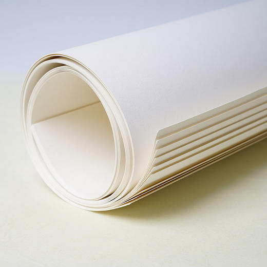 奈尔水粉纸160G/8K本色/50张QB21027 商品图0