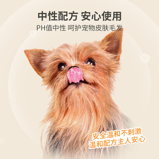 RINREI日本原装进口家用地板清洁剂地面清洁液消臭除菌 WHJC 商品图4