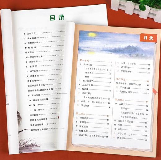 看拼音写词语生字注音 彩绘版 五年级下册 商品图2