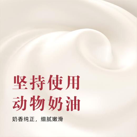 情人节•告白熊（赠送超浪漫的示爱投影仪，投出你们的浪漫气氛） 商品图5