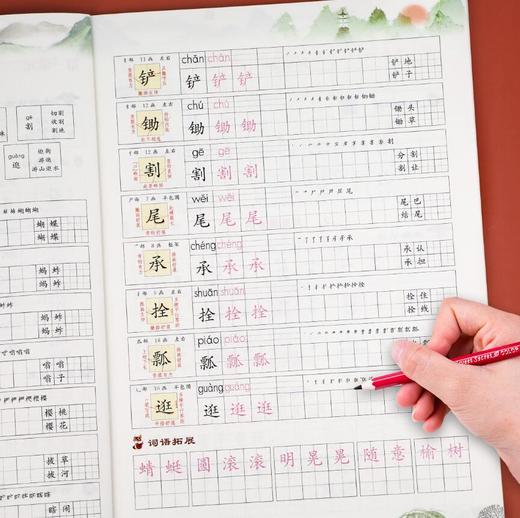 同步练字帖 彩绘版 五年级下册 商品图3