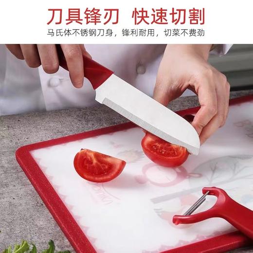 迪迪尼卡不锈钢辅食菜板4件套 商品图2