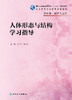 人体形态与结构学习指导 2022年1月配套教材 9787117327299 商品缩略图1