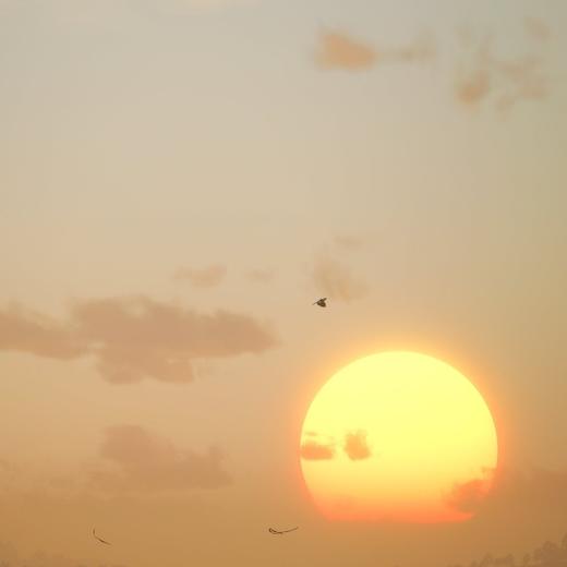 交易CI-推荐有奖线上课 商品图0