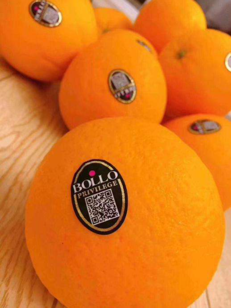 西班牙进口脐橙