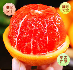 【严选】中华红脐橙 大果75-85mm 9斤（基地直发）