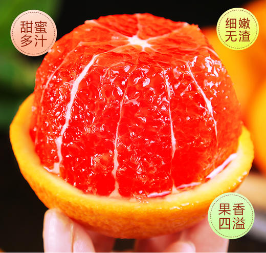 【严选】中华红脐橙 大果75-85mm 9斤（基地直发） 商品图0