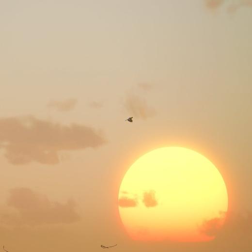 测试一下线上问题 商品图1